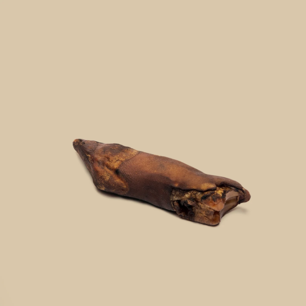 ROAM® Bucky Hoof™ Dog treat
