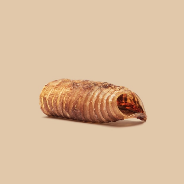 ROAM® Bucky Trachs™ Dog Treat