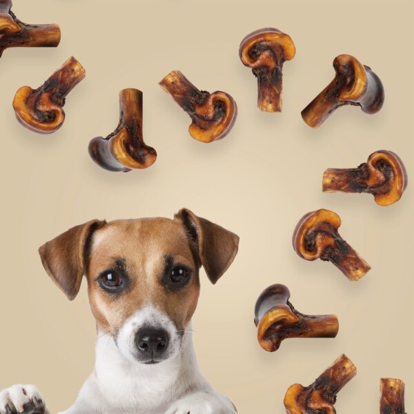 ROAM Gnaw_Kles Dog Treat