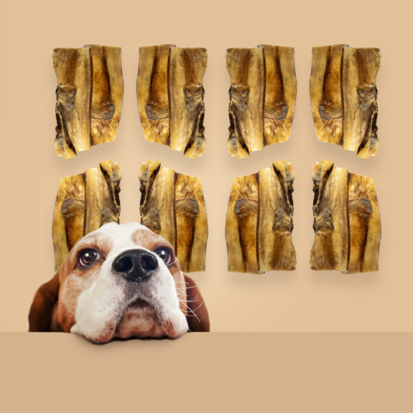 Roam® Ossy Baby Backs™