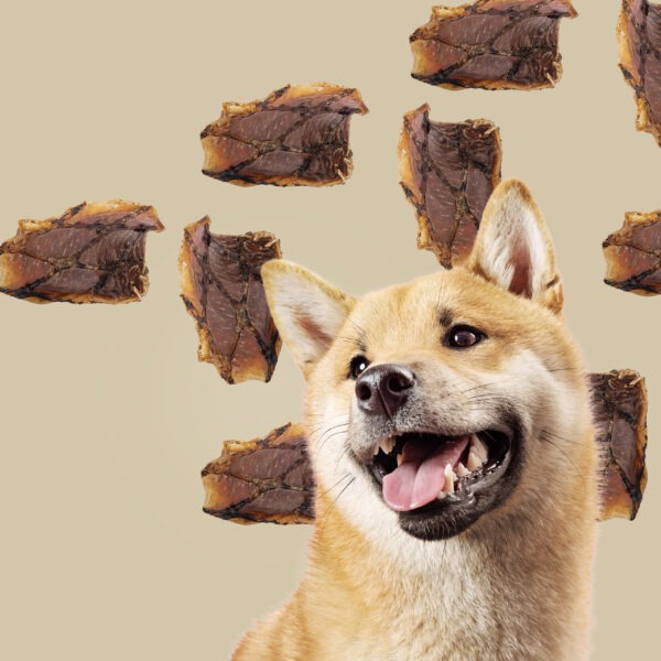 ROAM® Ossy Chews™