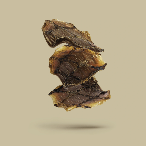 ROAM® Ossy Chews™ Dog Treat