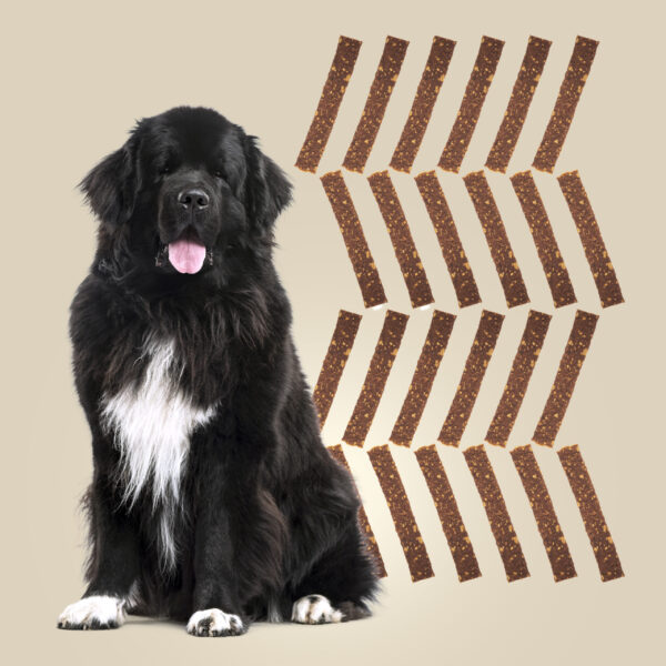 ROAM® Ossy Jerky™