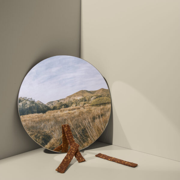 ROAM® Ossy Jerky™
