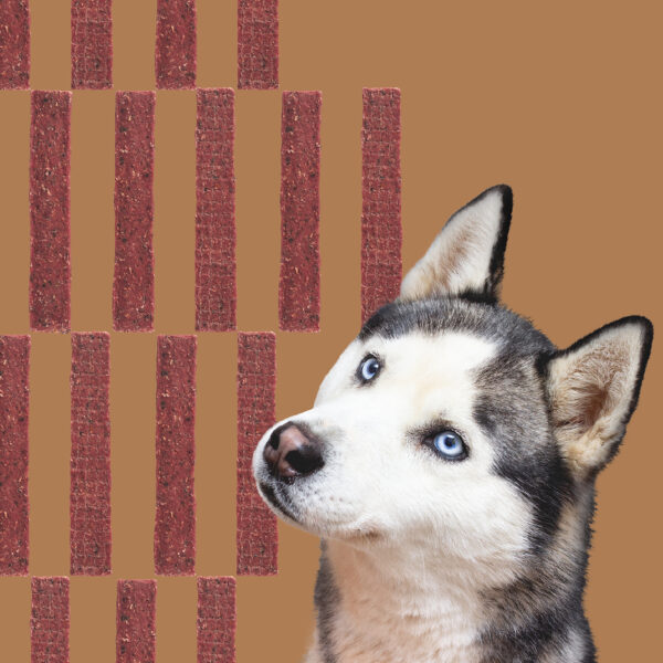 ROAM® Bucky Jerky™