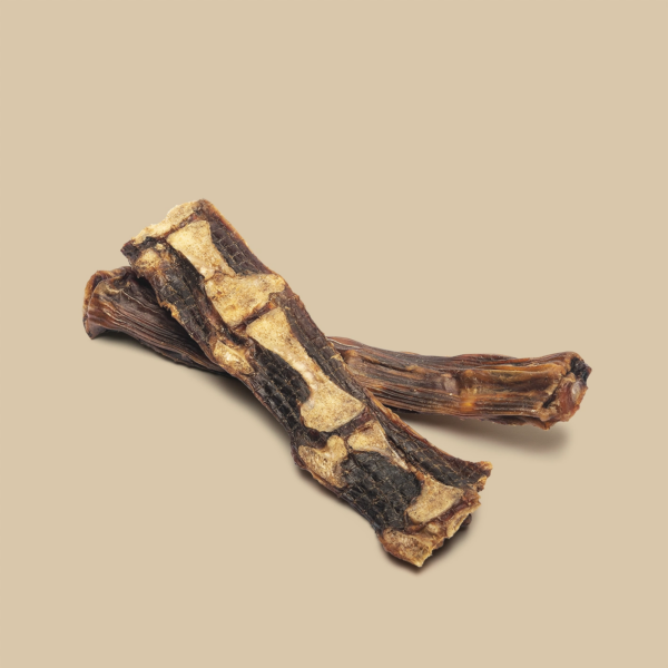 ROAM® Roo In Two™ Dog treat