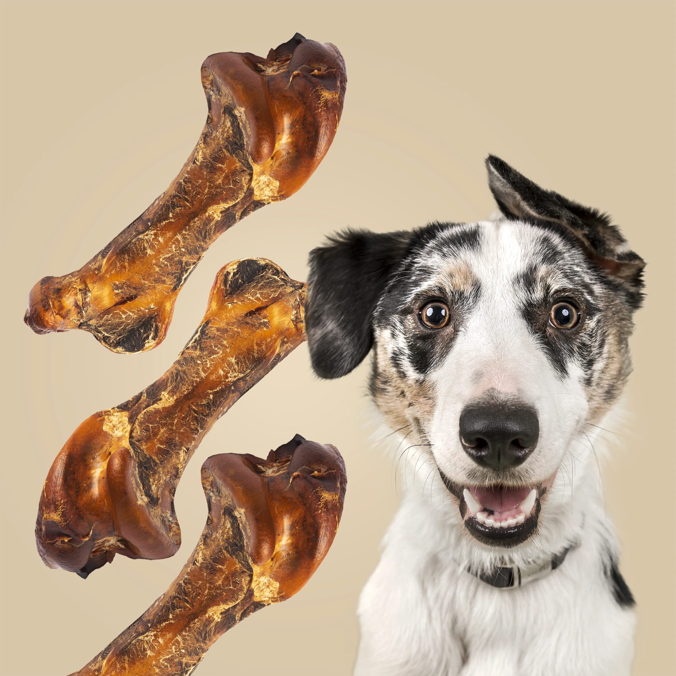 ROAM® The Boss-trich™ Dog Treat