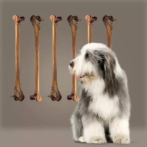 ROAM® Forever Bone™ Dog Treat