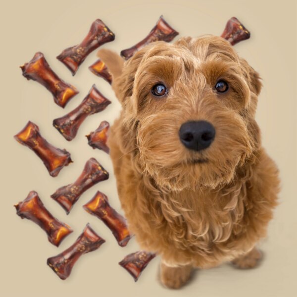 ROAM® Gone Wild Bones™ Dog Treat