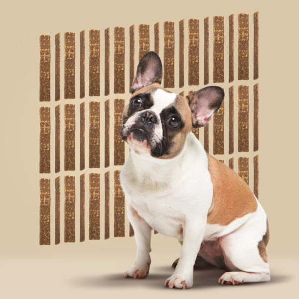 ROAM® Croc Jerky™ Dog Treat