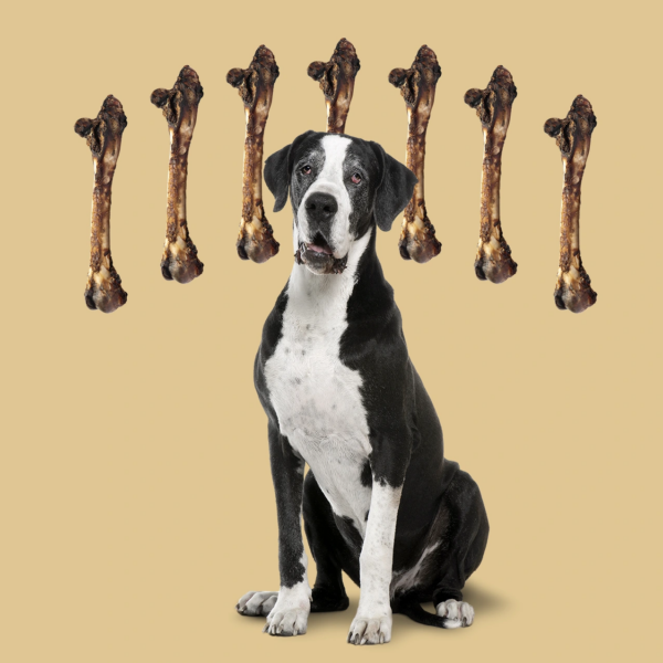 ROAM® Large Roo Chopper™ Dog Treat