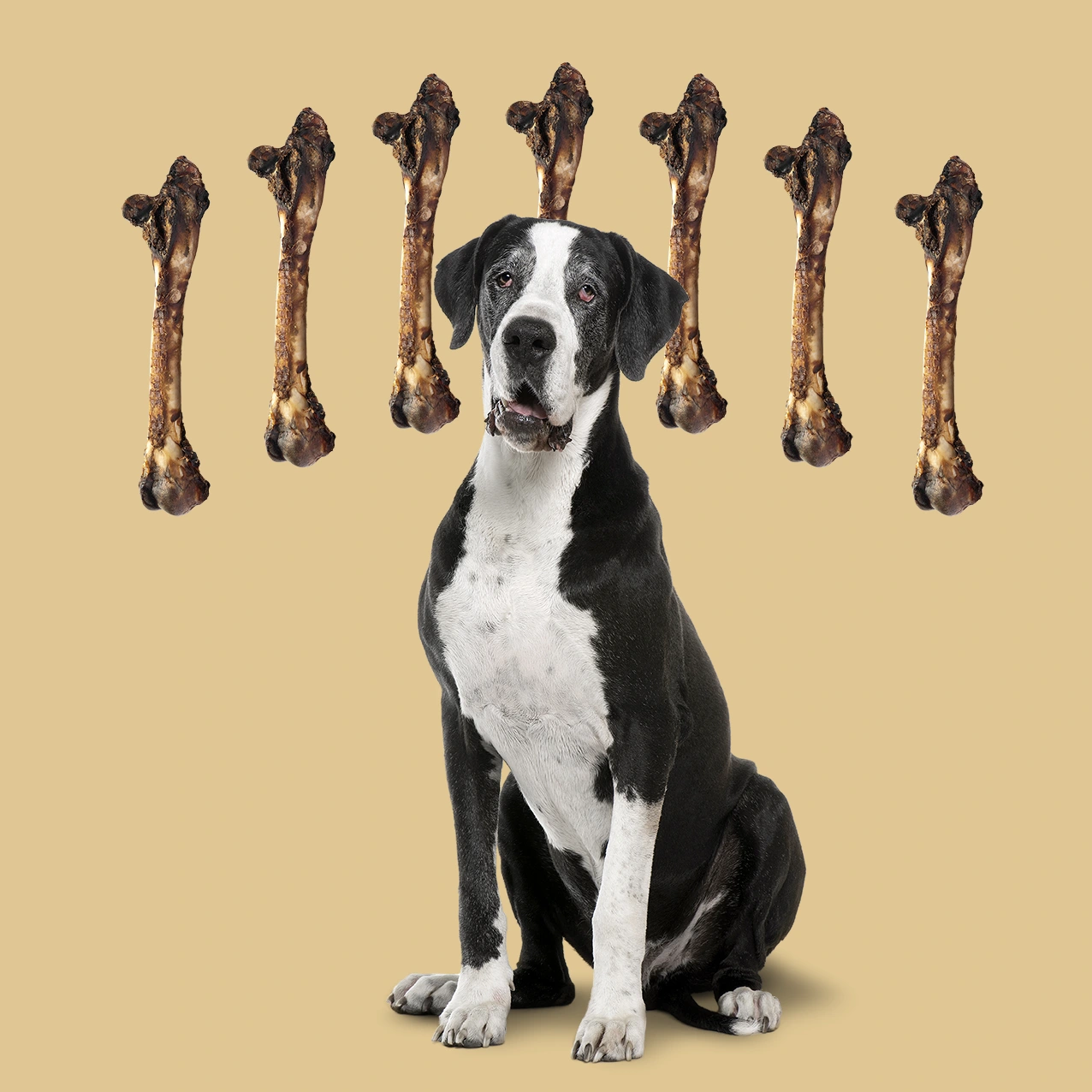 ROAM® Large Roo Chopper™ Dog Treat