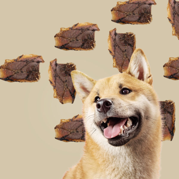 ROAM® Ossy Chews™ Dog Treat