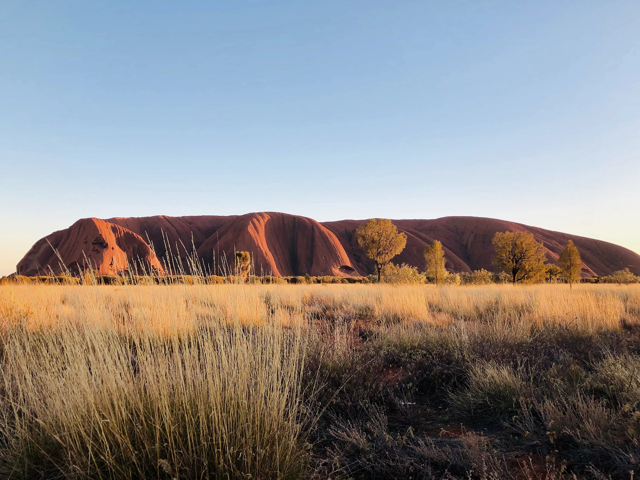 ROAM Australia Background