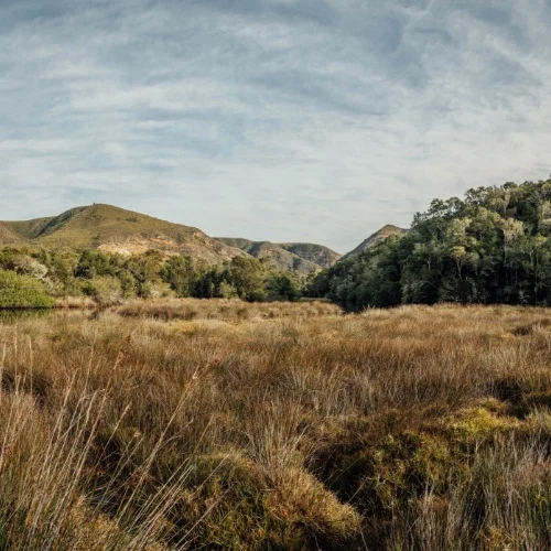 ROAM South Africa Plains