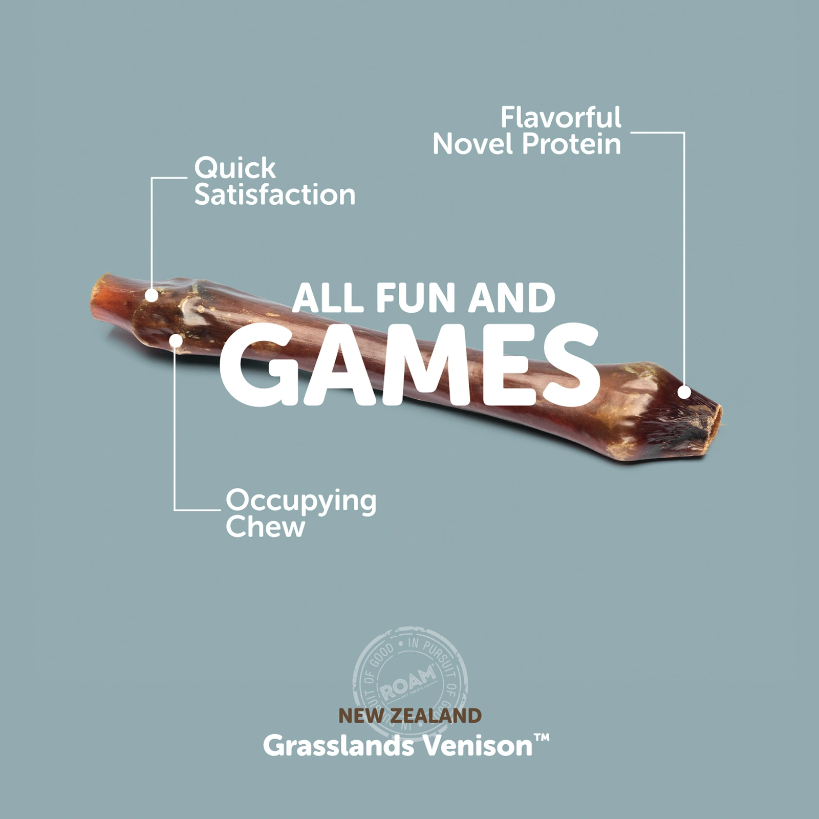 ROAM® Busy Bone™ Dog treat