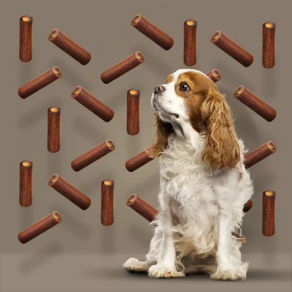 ROAM® Lg Smoked Marrow Bone™ Dog Treat
