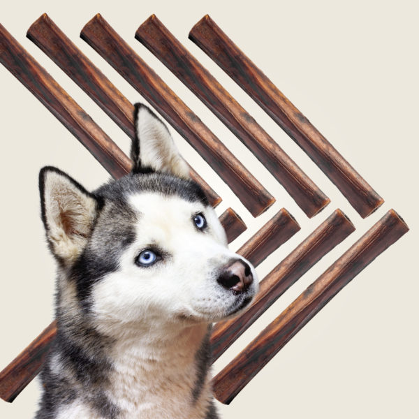 ROAM® XL Smoked Marrow Bone™ Dog Treat