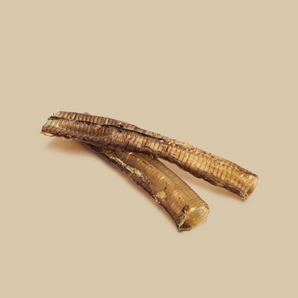 ROAM Ossy Trachs Dog Treat