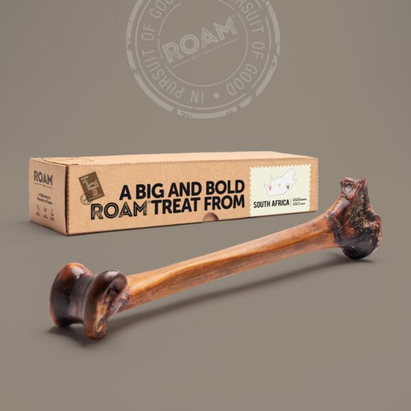 Special Forever Bone Box