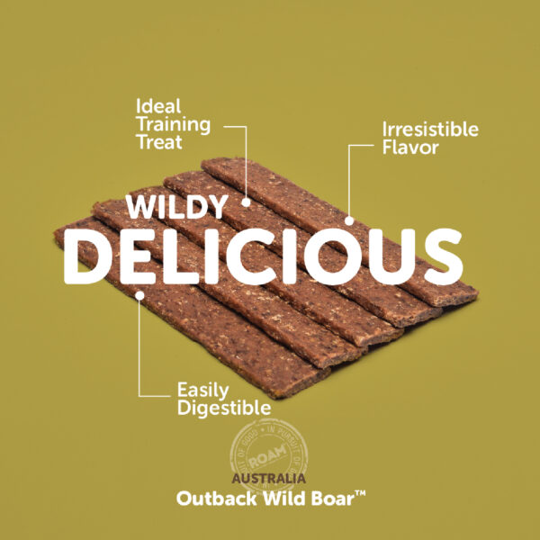 Roam® WILD BOAR JERKY™