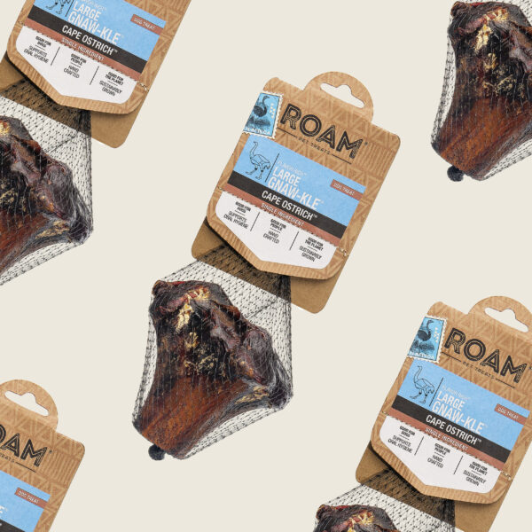 ROAM® Large Gnaw-kle™