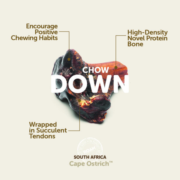 ROAM® Large Gnaw-kle™