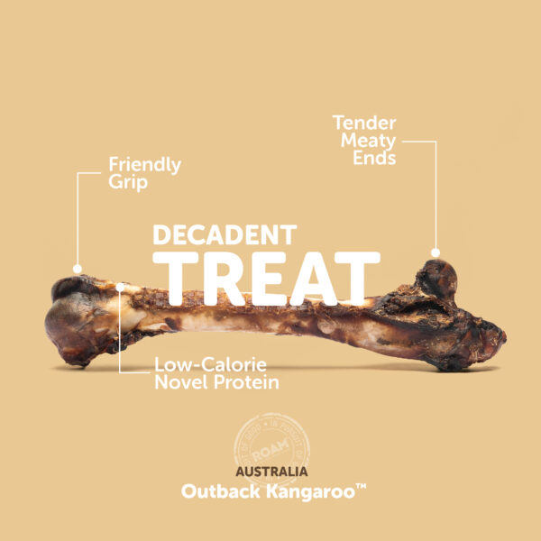 Sustainable Dog Chews Sampler